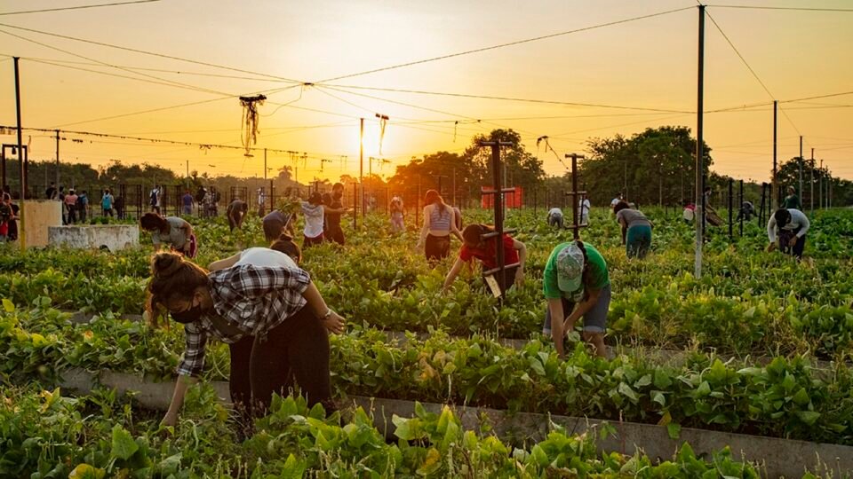Día Internacional de la Juventud: cuál es el porcentaje de desempleo mundial y por qué es más grave la situación de las mujeres