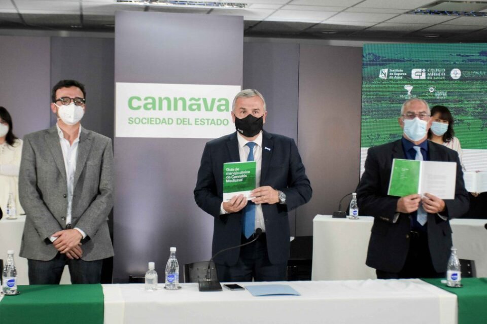 Jujuy presentó la primera guía de manejo clínico de cannabis medicinal del País