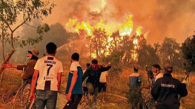 Más de 70 muertos en los incendios del norte de Argelia