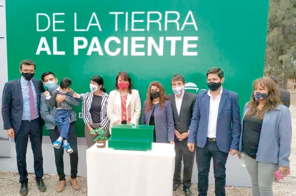 Recibiran canabis medicinal de por vida y gratuitamente