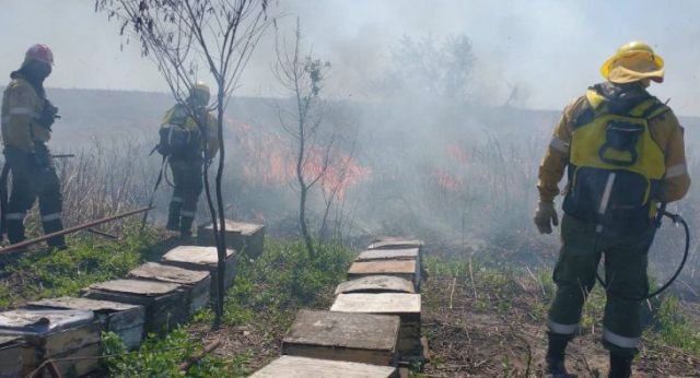 Jujuy sigue con focos activos de incendios