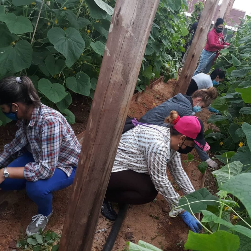 Efemérides del 15 de Octubre