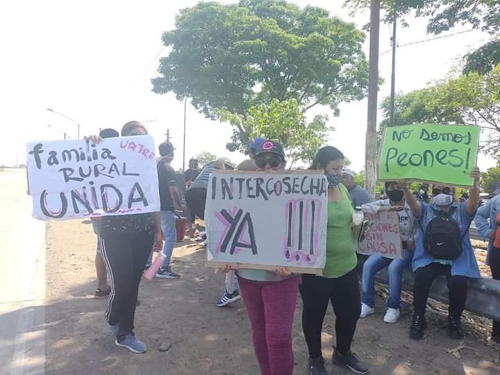 Uatre Ledesma reclama contra el ajuste de los planes intercosecha