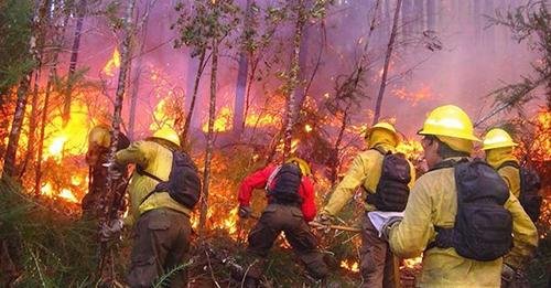 Los incendios en las Yungas ya afectaron más de 4 mil hectáreas