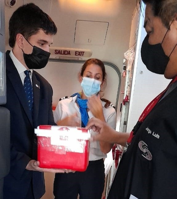 Se realizó la ablación Nº 22 en lo que va del año