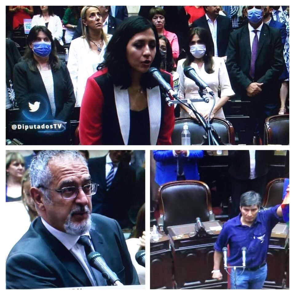 Asumieron en el Congreso los nuevos diputados nacionales de Jujuy