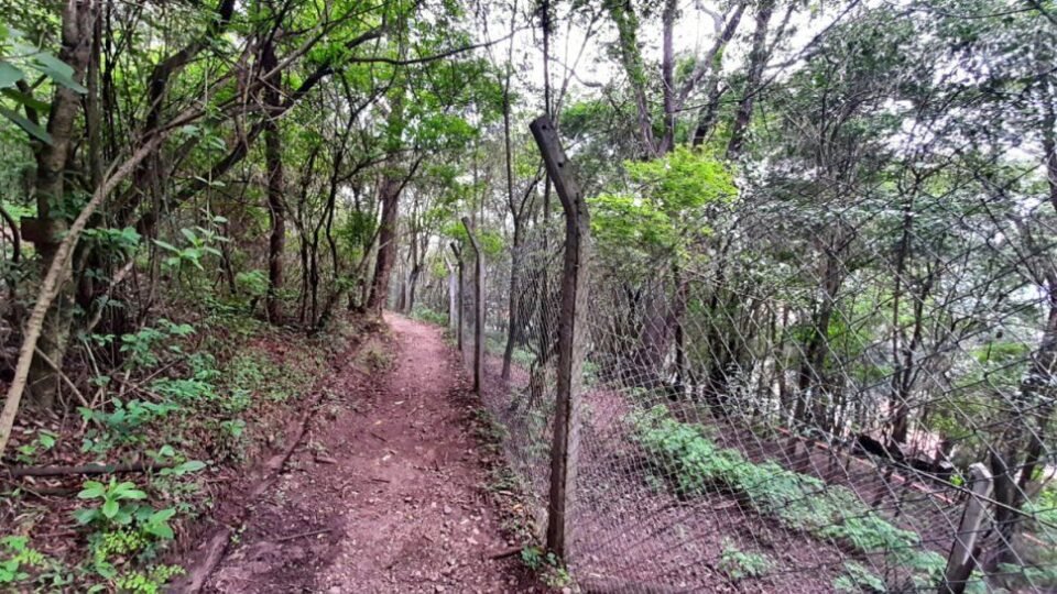 El Parque Botánico Municipal ofrece su propuesta para las vacaciones