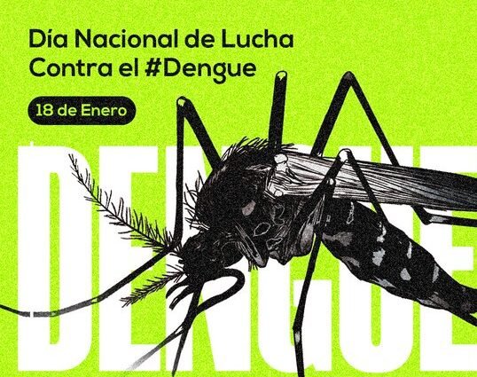 SALUD: Medidas de prevención contra el dengue