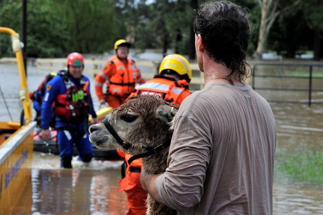 Cambio climático: 200 mil personas evacuadas en Australia