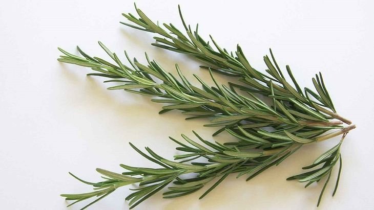 Harvard recomienda una hierba para la memoria y el cerebro