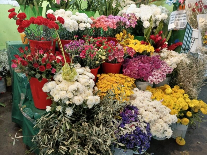 El Paseo de las Flores ofrece variedad de arreglos para el Domingo de Ramos