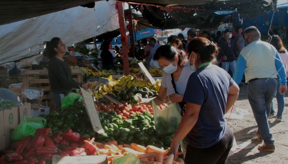 Gran concurrencia de jujeños a ferias de frutas y verduras