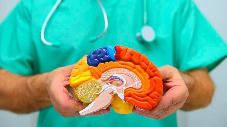 11 estrategias para mejorar la salud del cerebro y evitar el Alzheimer