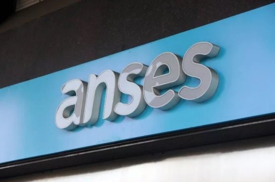 3,6 millones de personas recibirán el bono de ANSES