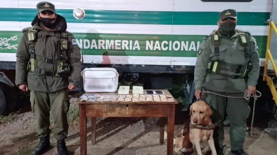 Limón, el perro de Gendarmería, detecto un cargamento de droga