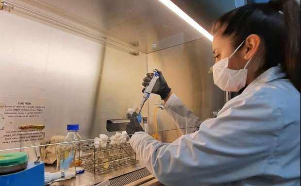 Estudiante de la UNJU creo un alimento a base de quinoa y amaranto