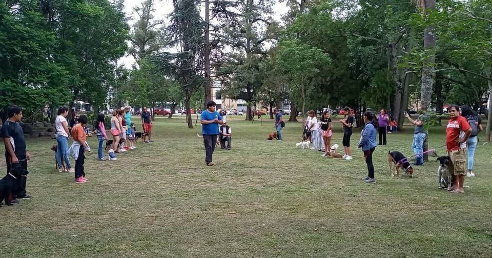 La importancia del entrenamiento y la recreación en perros