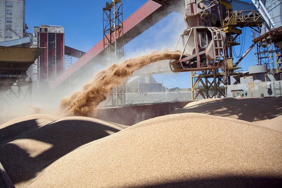 La AFIP detectó 1400 casos de manipulación de precios