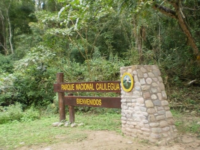 El Parque Nacional Calilegua celebra sus 43 años