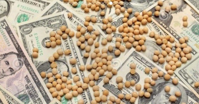 El Banco Central creó un Dólar Especial para el Campo