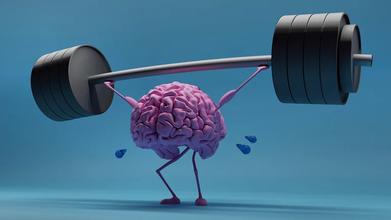 ¿El cerebro al gimnasio?
