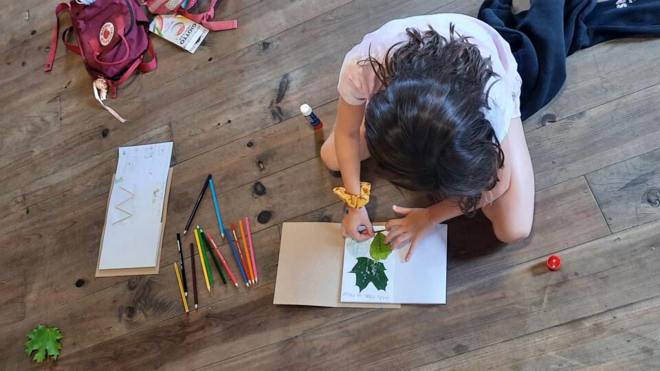 Jujuy impulsa implementar educación ambiental en las aulas