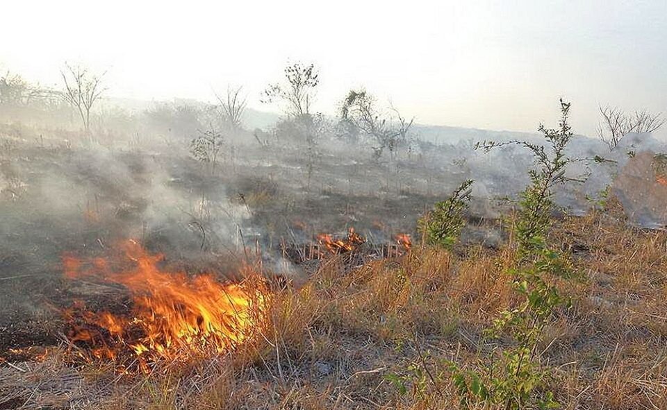 Ampliarían las horas de trabajo para Brigadistas en las Yungas.