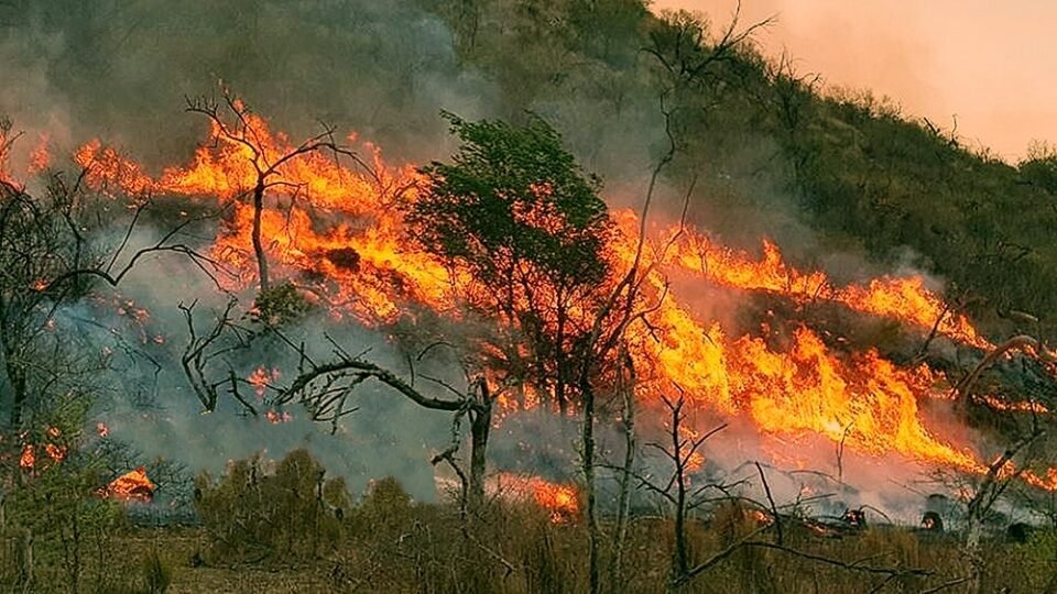 Gran incendio en las Yungas, 2100 hectáreas afectadas