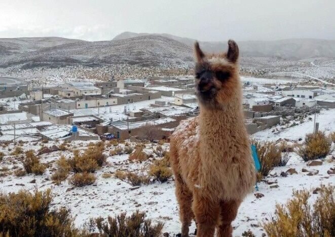 Nieve en Jujuy