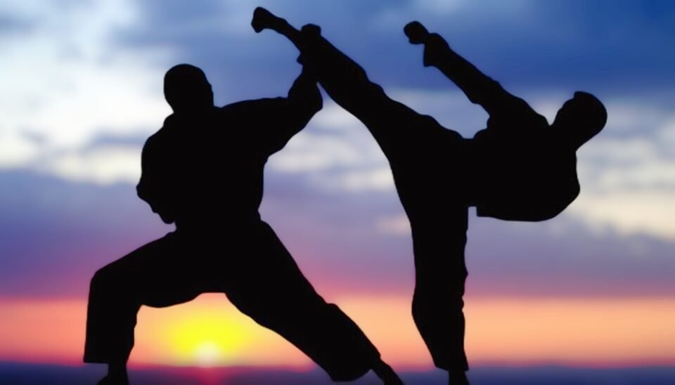 Llega al Norte importante «Seminario de Artes Marciales»