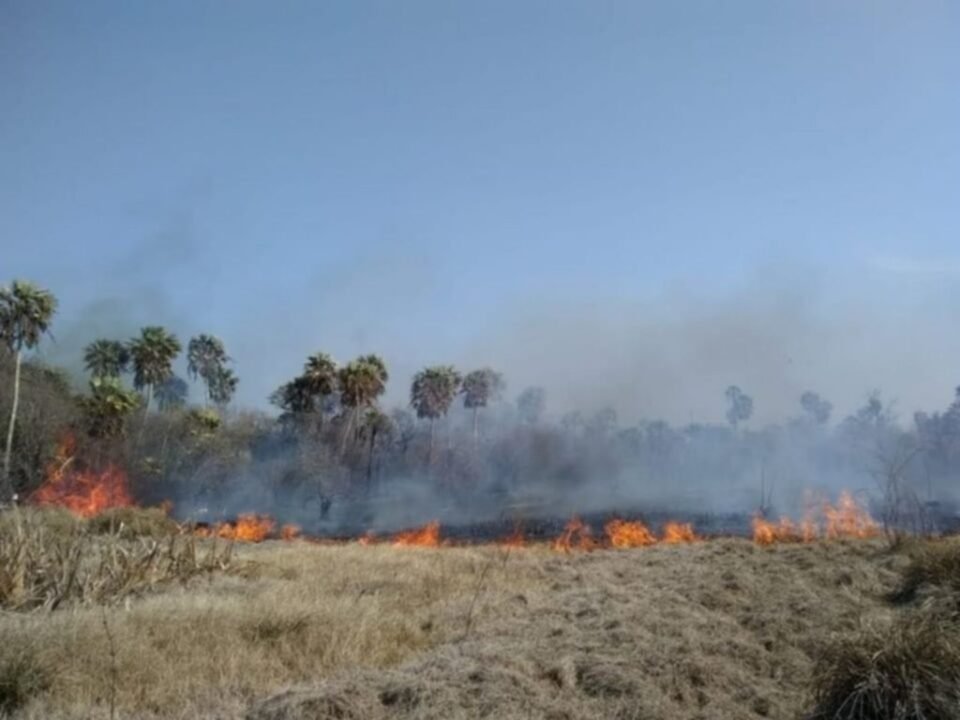 Las lluvias llegaron a la zona de los incendios en el Ramal