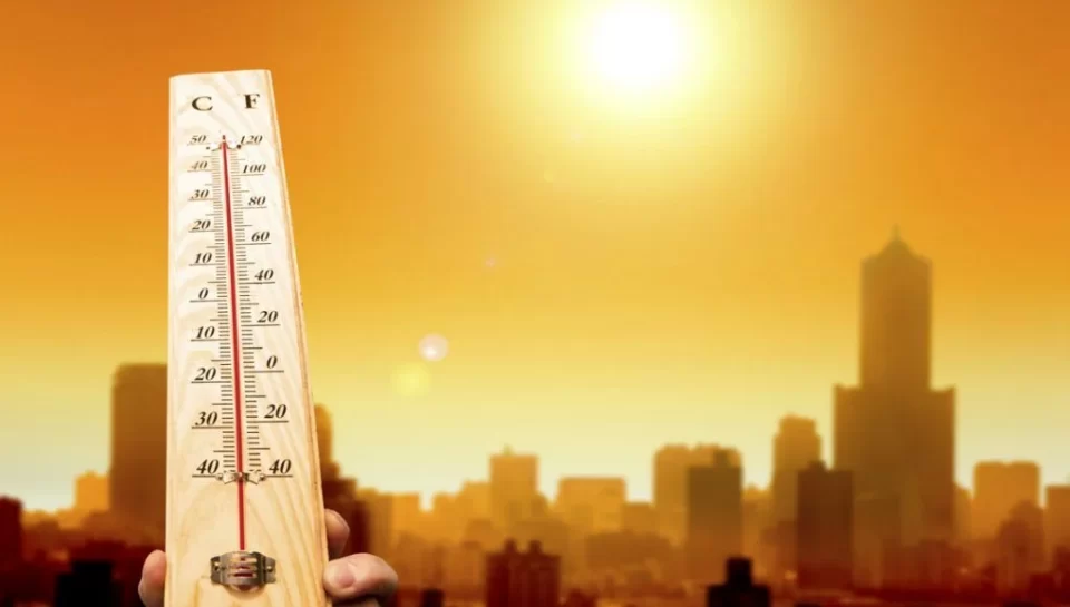 En Europa la ola de calor arrasó con 15.000 muertes en el año
