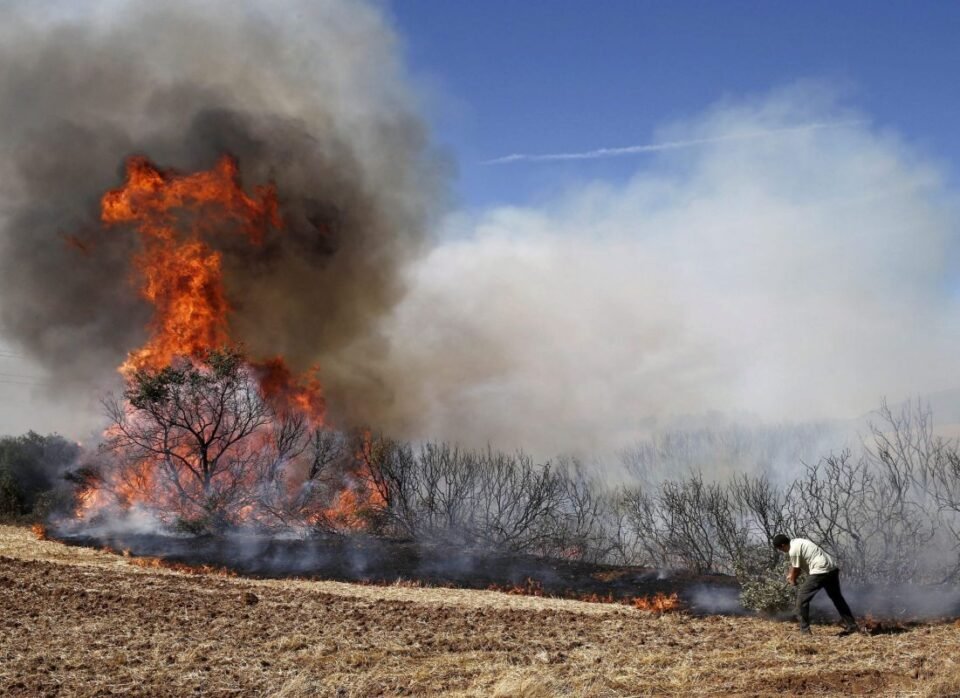 En Jujuy la lluvia calmo los incendios forestales