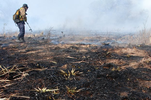 No hay foco de incendios activos en la Provincia.