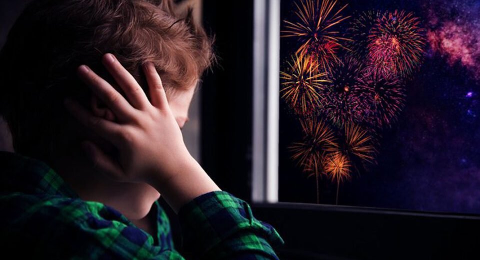 Multas de hasta un millón de pesos por venta de Pirotecnia Sonora en Jujuy.