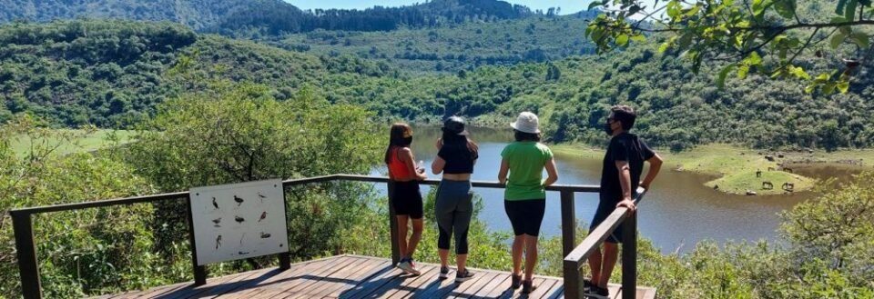 Yala: Recomendaciones para visitar el Parque Potrero.