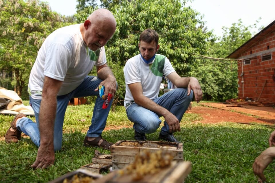 Capital: Convocatoria abierta para ser Promotor Ambiental.