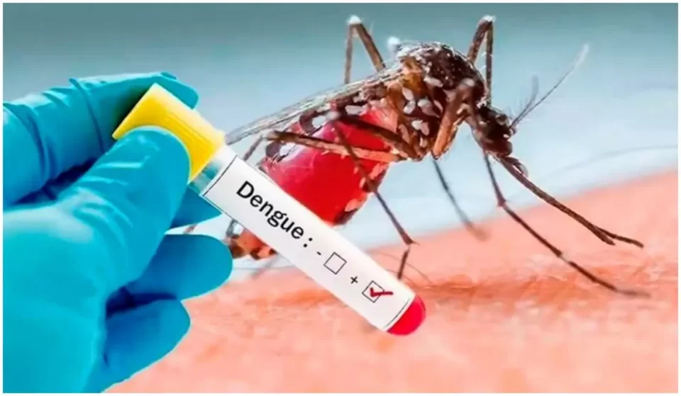 Confirman el primer caso de Dengue en El Ceibal.