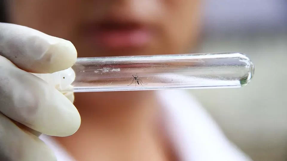 Dengue: Los casos en Argentina continúan en descenso