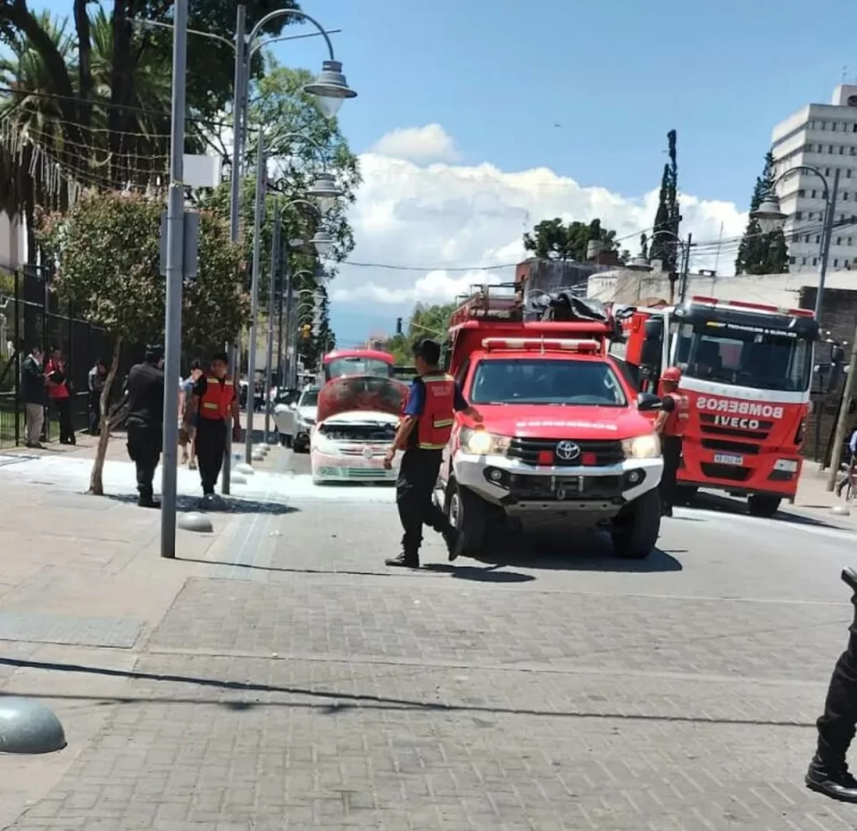 Un vehículo se incendió frente a la Casa de Gobierno.
