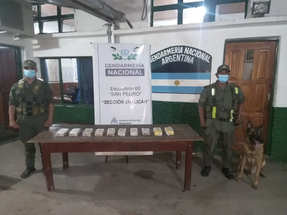 Gendarmería Nacional secuestró más de 15 kilos de cocaína de dos colectivos.
