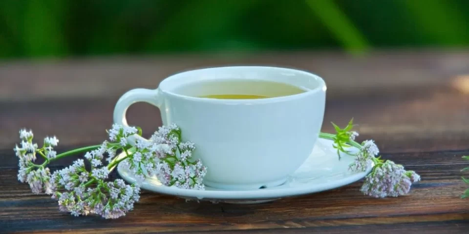 Cómo utilizar la Valeriana para controlar el insomnio
