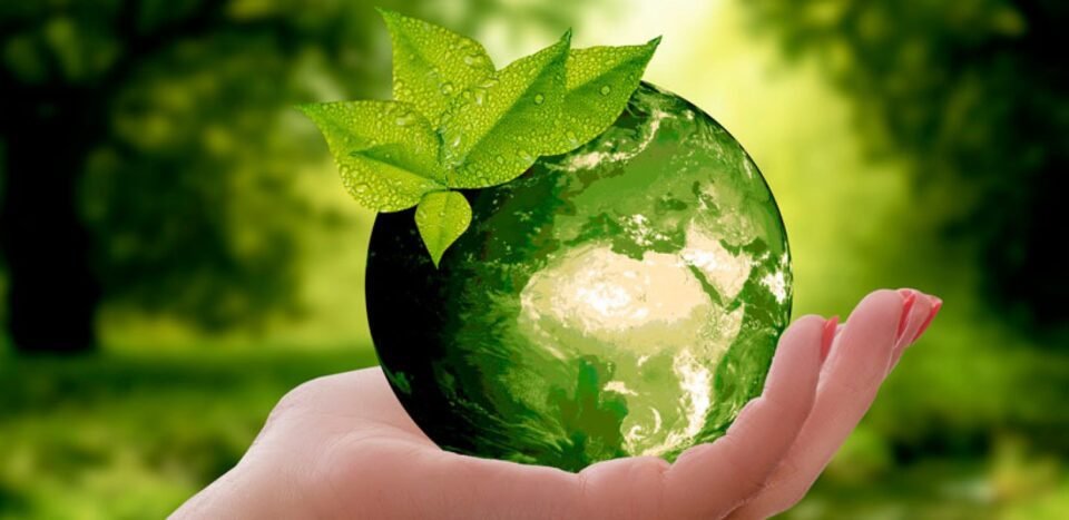 5 de Junio Día Mundial del Medio Ambiente