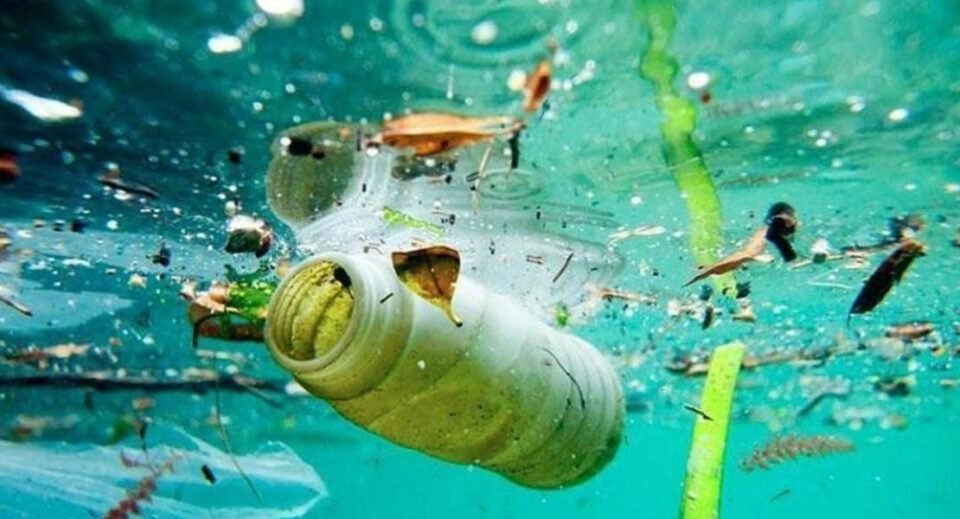 La OMS alerta efectos en la salud por cambio climático