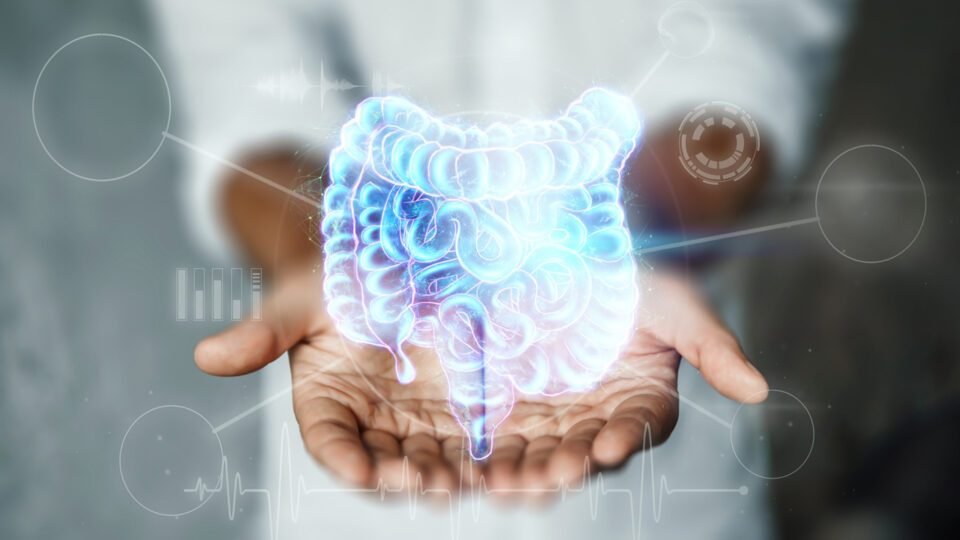 El Intestino, un órgano asociado a la Longevidad