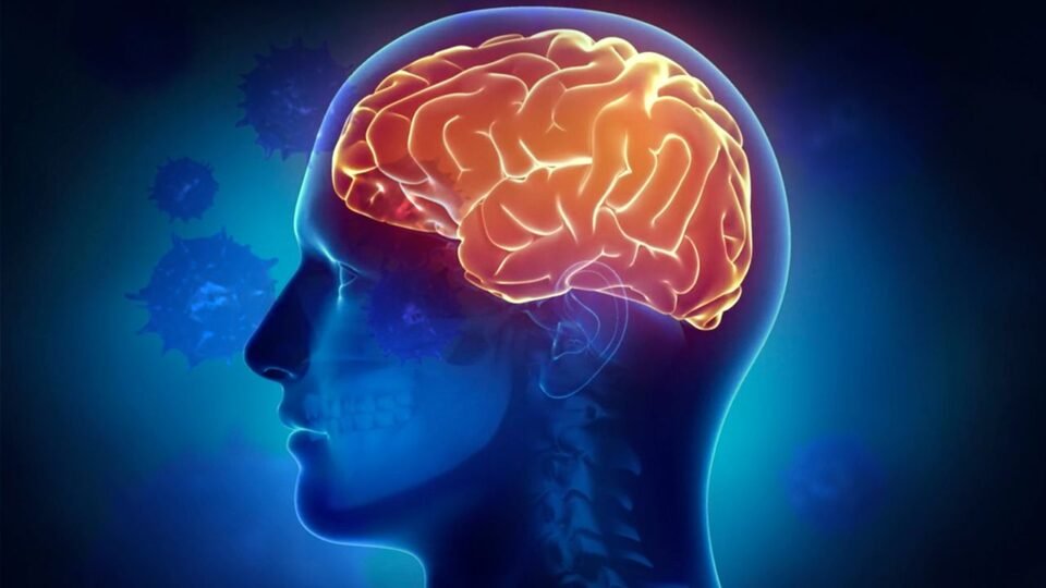 Las Relaciones Sociales previenen la demencia