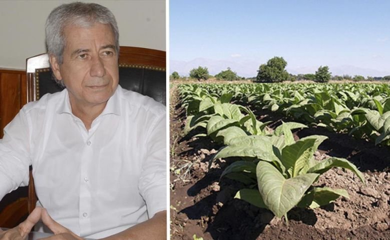 Pedro Pascuttini habló sobre la situación actual del tabaco