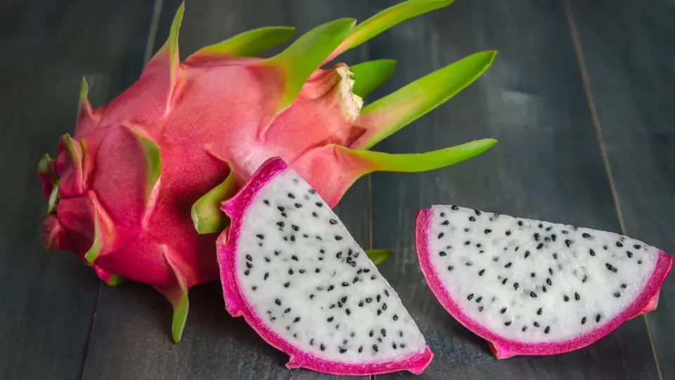 Analizan tipos de polinización de la Pitahaya en el INTA