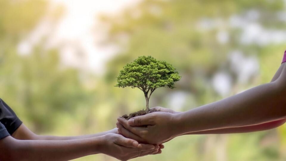 Día Mundial de la Protección de la Naturaleza