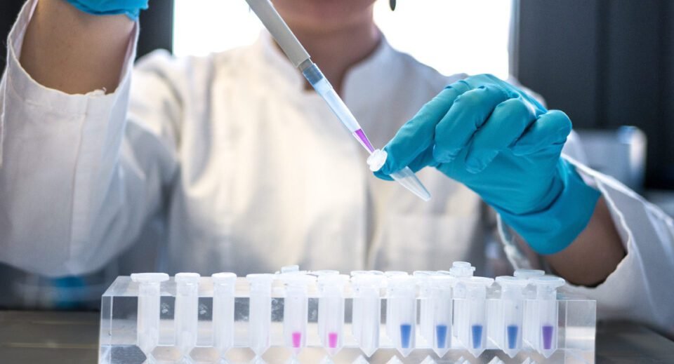 Identifican nuevos compuestos para combatir el Cáncer